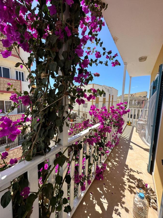 B&B Mi Ma Bo, Sal Rei, Boa Vista, Cape Verde, Free Wi-Fi Ngoại thất bức ảnh
