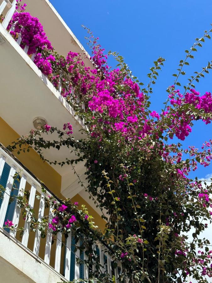B&B Mi Ma Bo, Sal Rei, Boa Vista, Cape Verde, Free Wi-Fi Ngoại thất bức ảnh