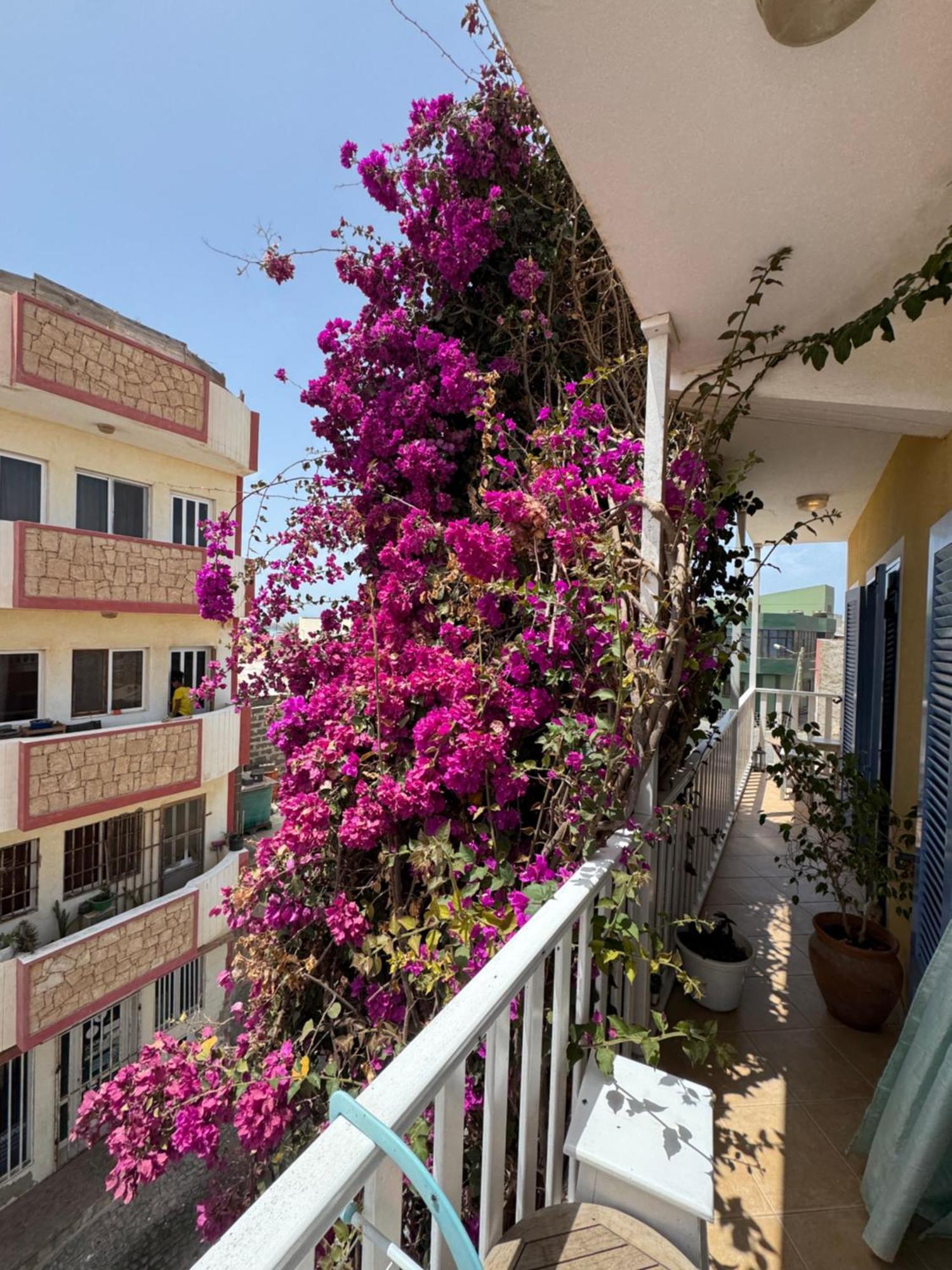 B&B Mi Ma Bo, Sal Rei, Boa Vista, Cape Verde, Free Wi-Fi Ngoại thất bức ảnh